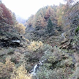 IMG 4727
