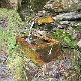 IMG 4729