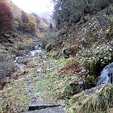 IMG 4730