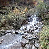 IMG 4732
