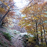 IMG 4734