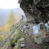 IMG 4737