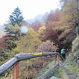 IMG 4739