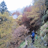 IMG 4740