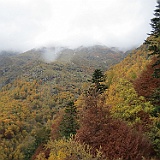 IMG 4741