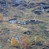 IMG 4742