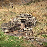 IMG 4746