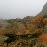 IMG 4747