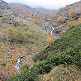 IMG 4751