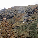 IMG 4753
