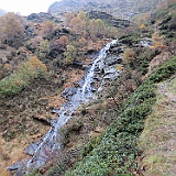 IMG 4755