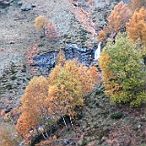 IMG 4756