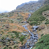 IMG 4757