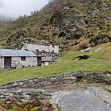 IMG 4763