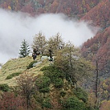 IMG 4775