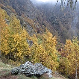 IMG 4778