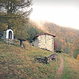 IMG 4786