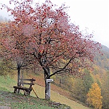 IMG 4789