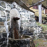 IMG 4795