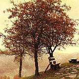 IMG 4797