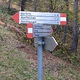 IMG 4803