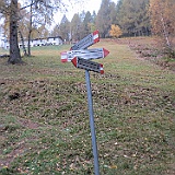 IMG 4805