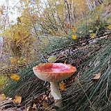 IMG 4806