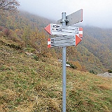 IMG 4809