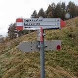 IMG 4811