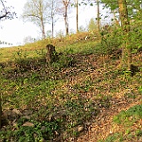 IMG 1607