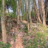 IMG 1608