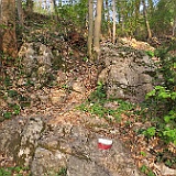 IMG 1609
