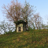 IMG 1610