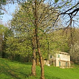 IMG 1612