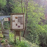 IMG 1615