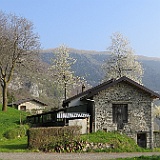 IMG 1617