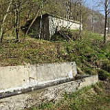 IMG 1618