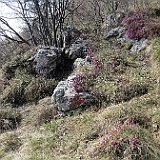 IMG 1625