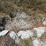 IMG 1627