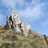 IMG 1630