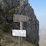 IMG 1631