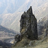 IMG 1634