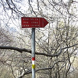 IMG 1641