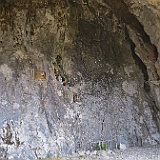 IMG 1643