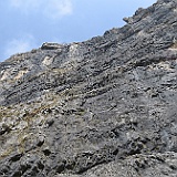 IMG 1644
