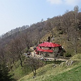 IMG 1650