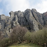 IMG 1651