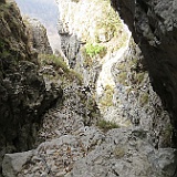 IMG 1654