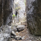IMG 1655