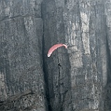 IMG 1665